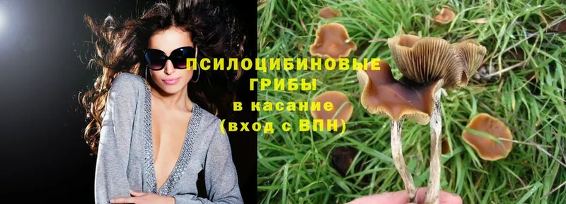 Псилоцибиновые грибы Magic Shrooms Купино